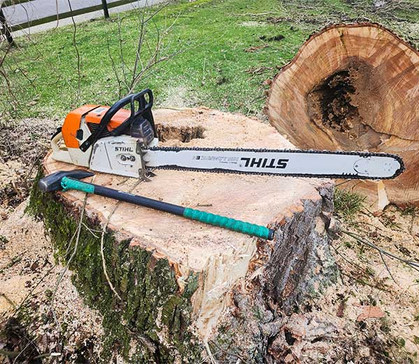 baumfaellung-stade Baumfällung Stade